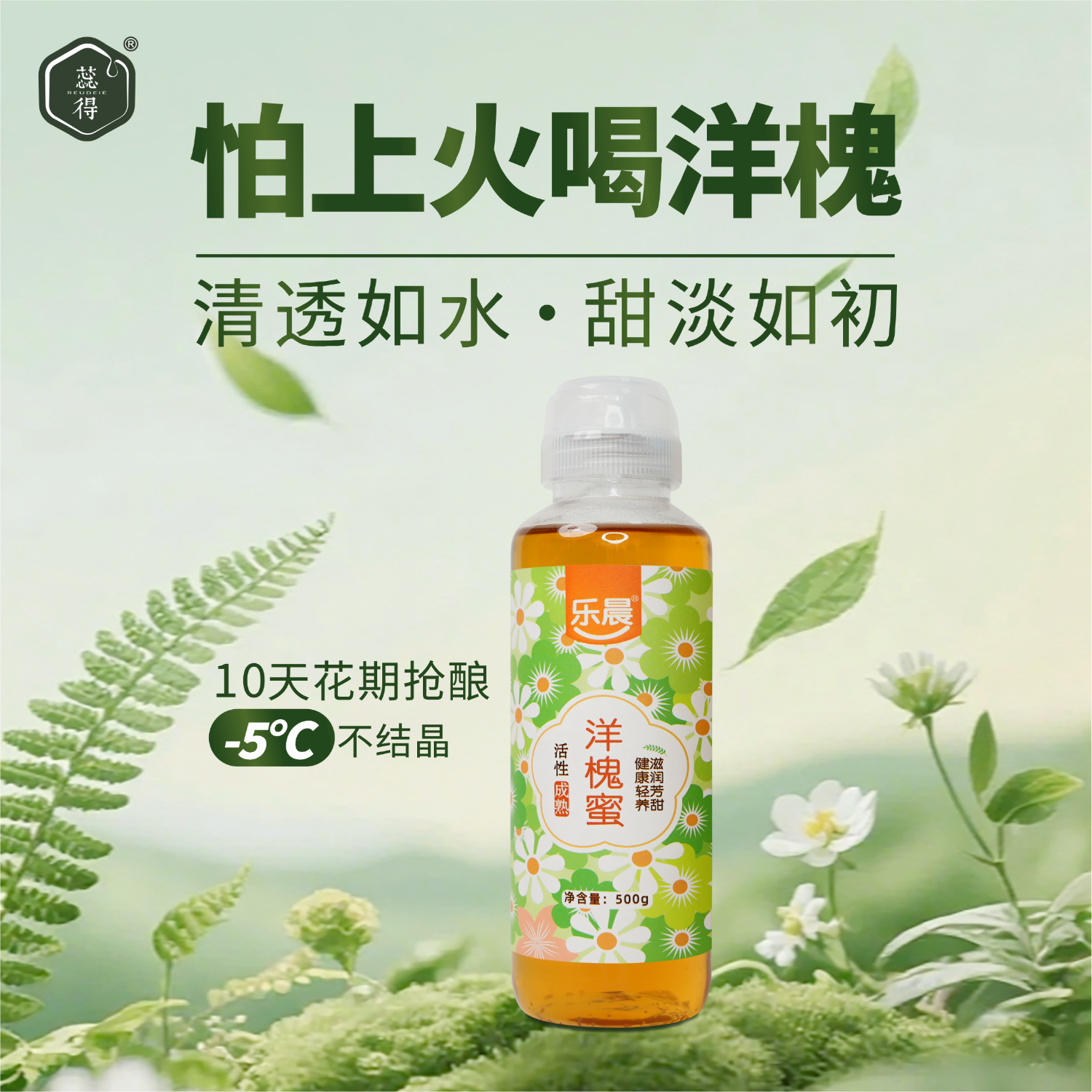 500g乐晨洋槐蜜