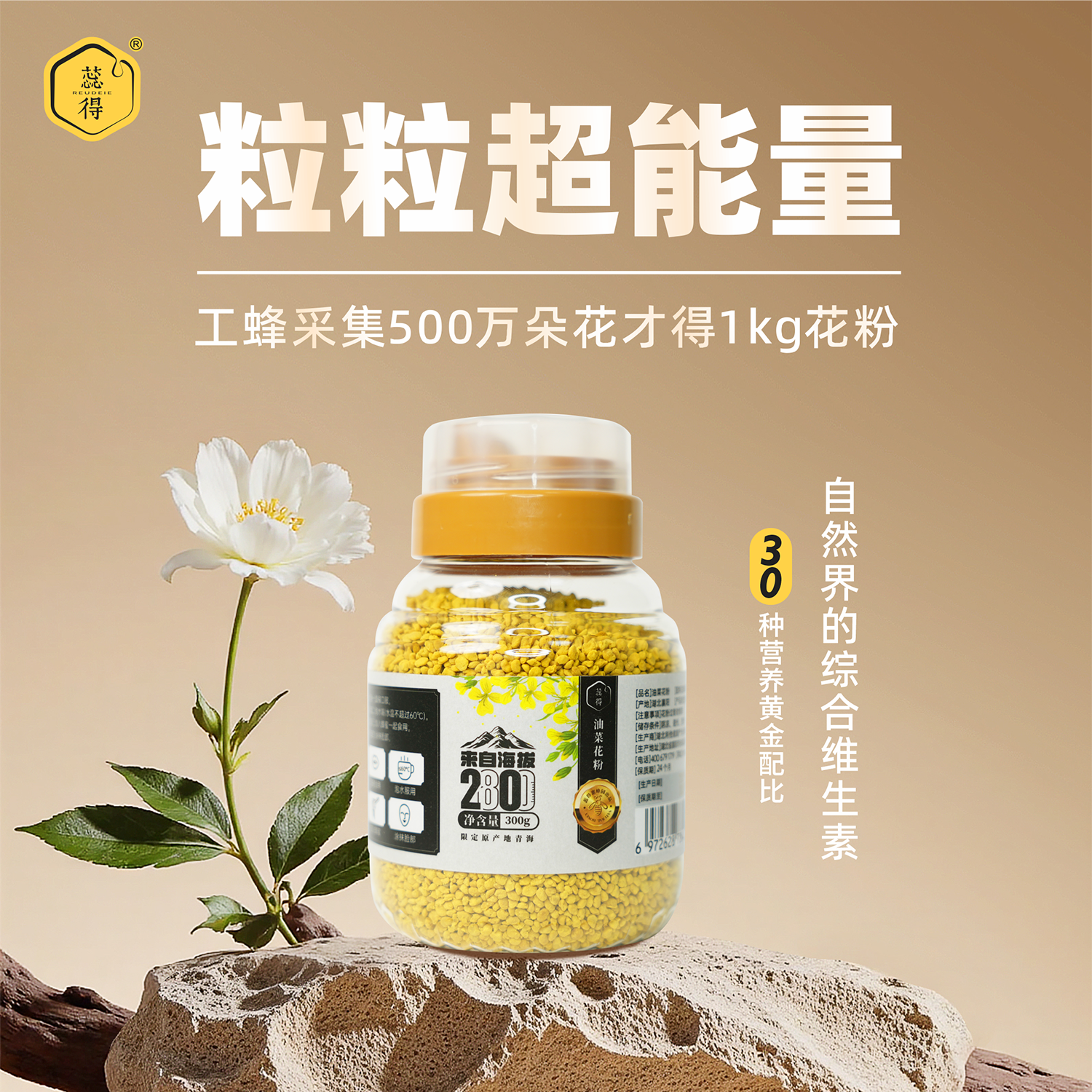 300g青海油菜花粉